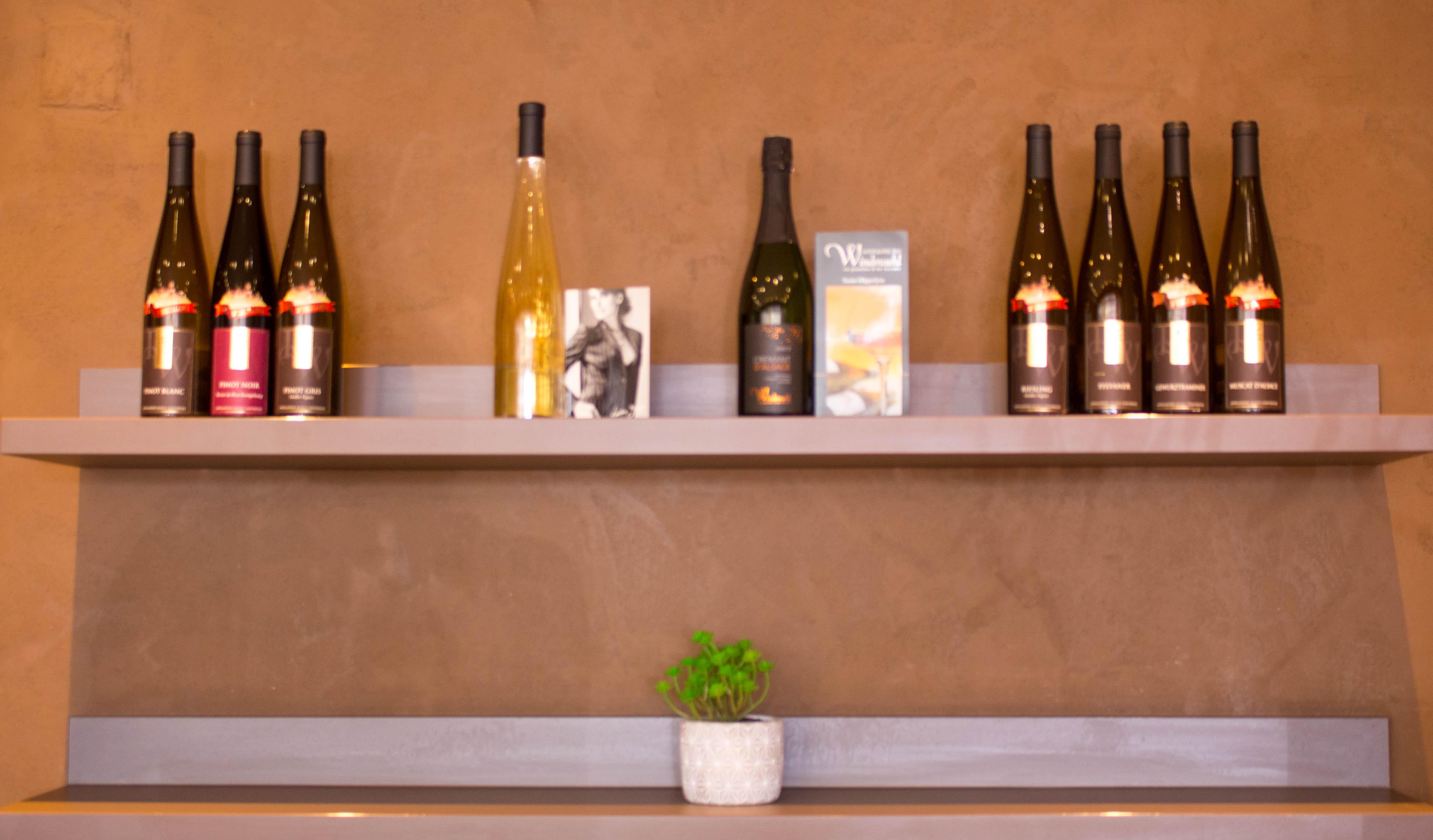 Ibis Colmar Est - Hotel Restaurant En Alsace Horbourg-Wihr Εξωτερικό φωτογραφία