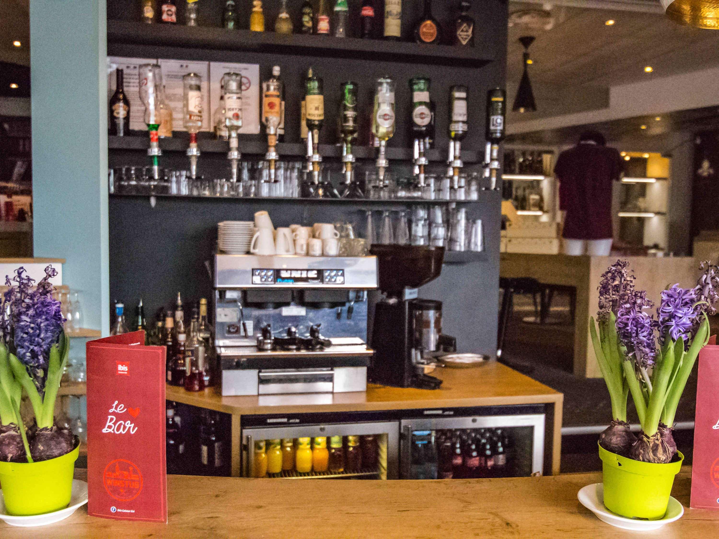 Ibis Colmar Est - Hotel Restaurant En Alsace Horbourg-Wihr Εξωτερικό φωτογραφία